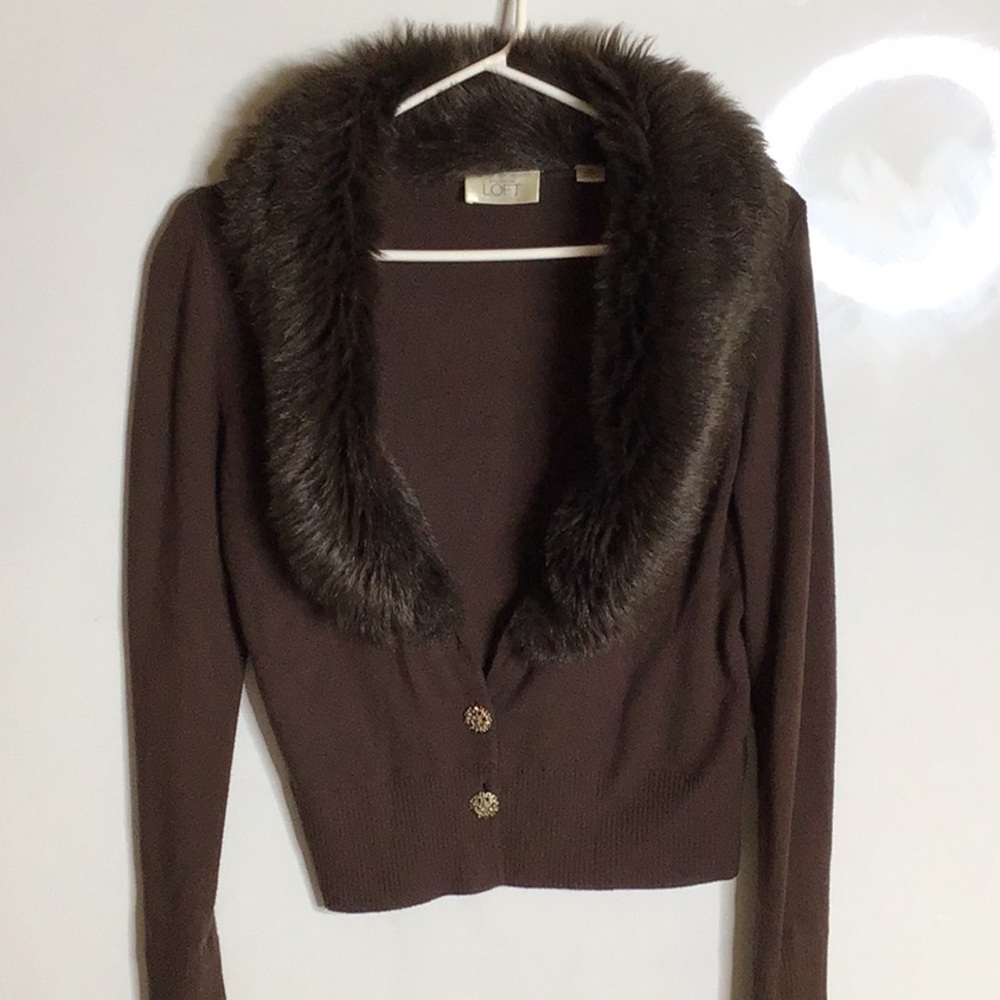 Ann Taylor Loft sweater